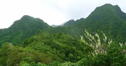 Trek across Rarotonga