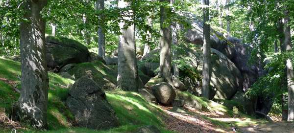 Wandeling door Špičák: Accommodaties