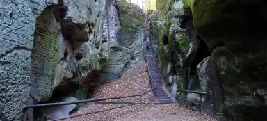 Une promenade à travers le trou de la souris jusqu'au lit d'Adam