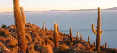 잉카와시 섬 투어