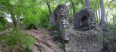 Wycieczka po ruinach Zbořený Kostelec