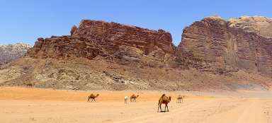 Paseo por el desierto de Wadi Rum I