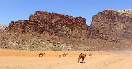 Jazda púšťa Wadi Rum I.