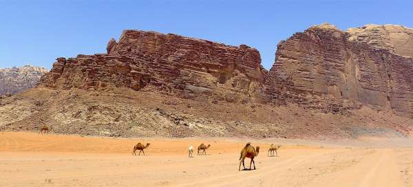 Balade dans le désert du Wadi Rum I.