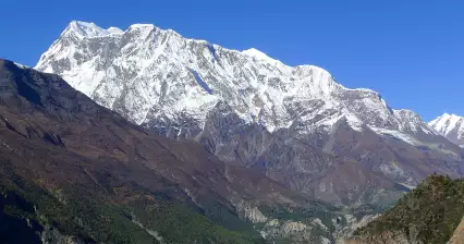 Tour Pisang - Ghyaru