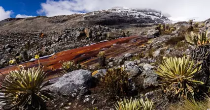 Colombie
