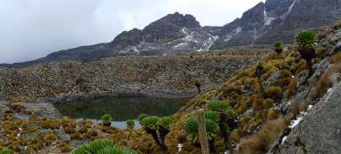 Mt.Kenya Bandas - caminhada Mintos Hut