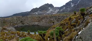 Túra Mt.Kenya Bandas - Mintos Hut