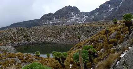 Wędrówka na górę Kenia Bandas - Mintos Hut