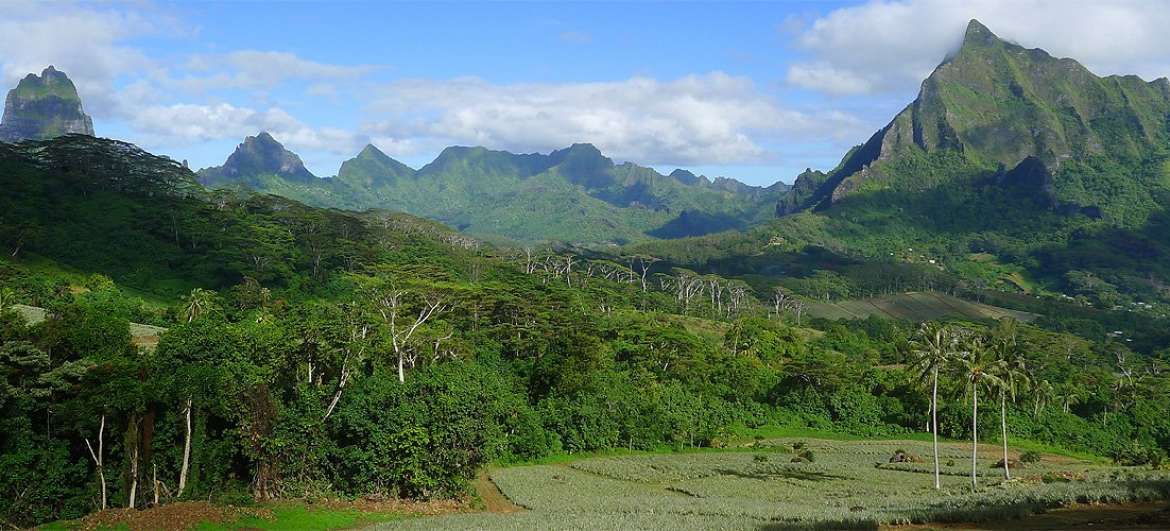 Francouzská Polynésie: Turistika