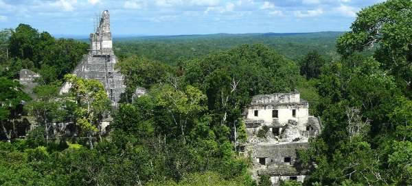 Visite de Tikal